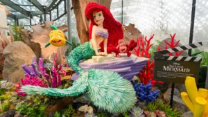 DIsney